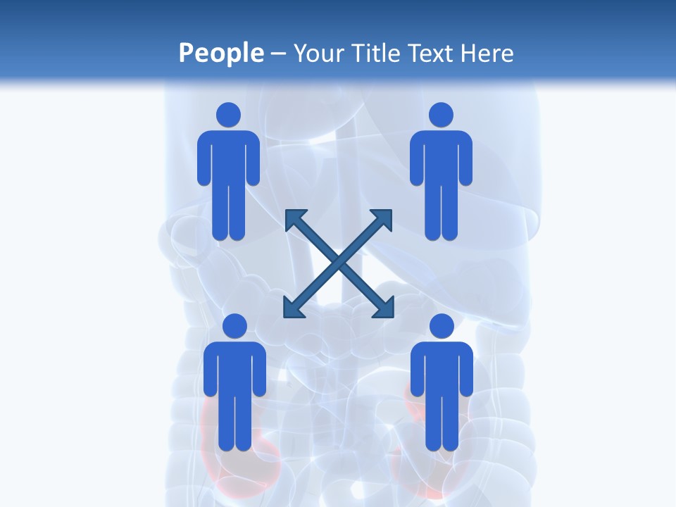 Vitals Belly Organ PowerPoint Template