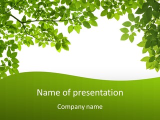 Still Isolated Macro PowerPoint Template