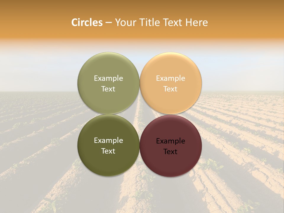 Growing Countryside Field PowerPoint Template