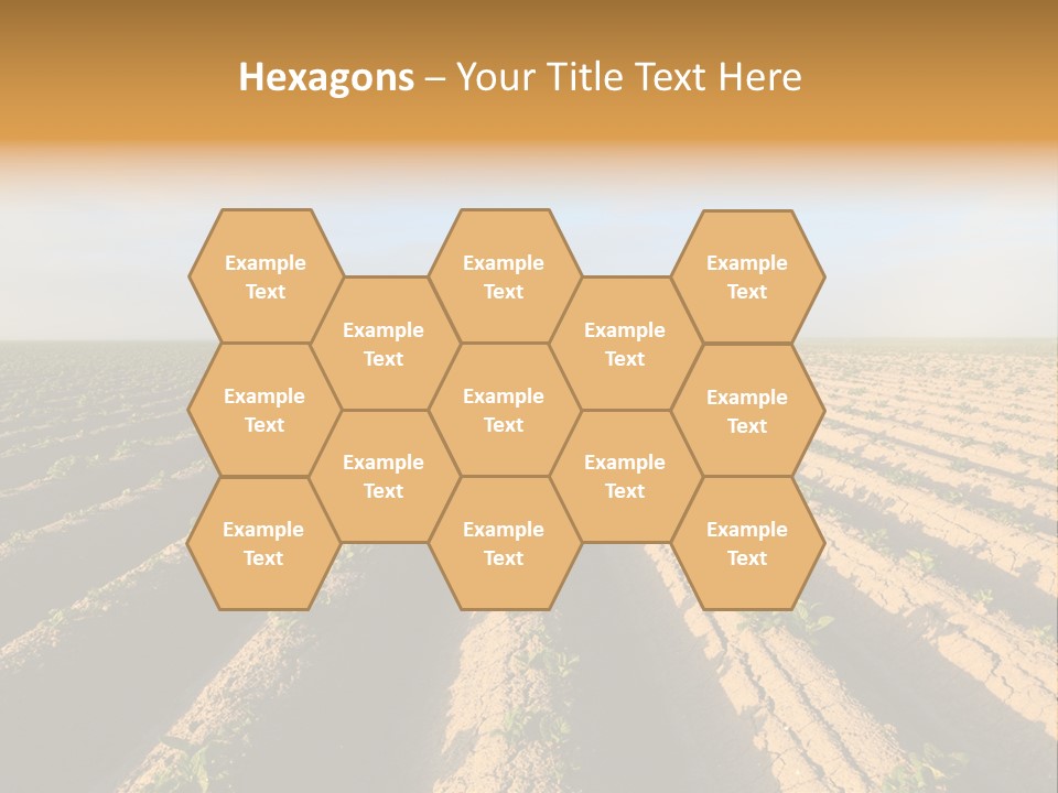 Growing Countryside Field PowerPoint Template