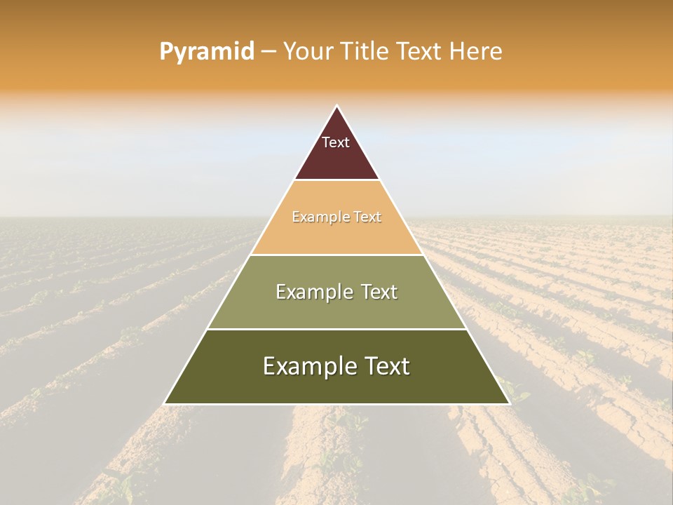 Growing Countryside Field PowerPoint Template