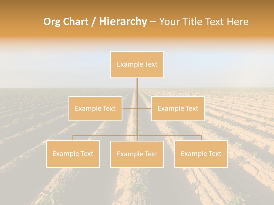 Growing Countryside Field PowerPoint Template