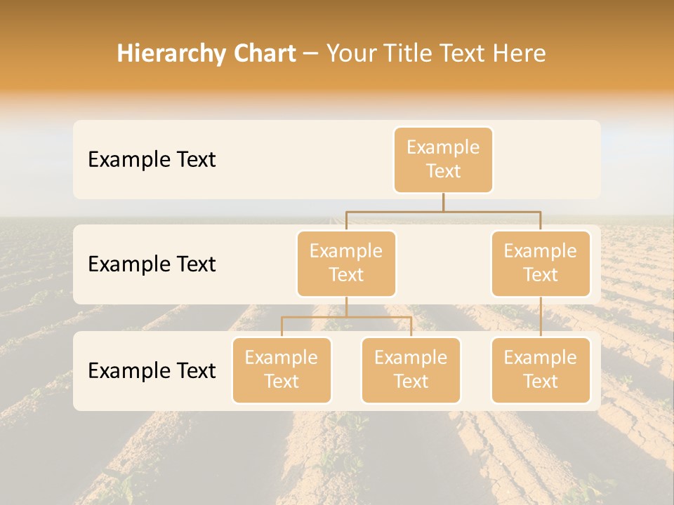 Growing Countryside Field PowerPoint Template