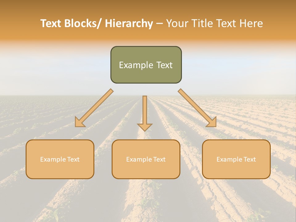 Growing Countryside Field PowerPoint Template