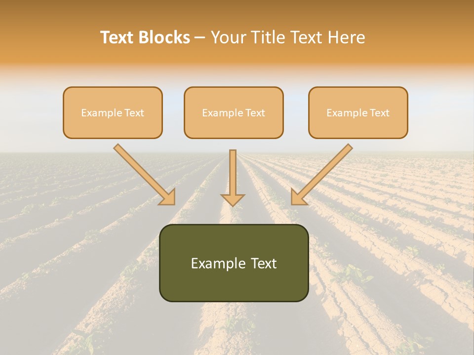 Growing Countryside Field PowerPoint Template