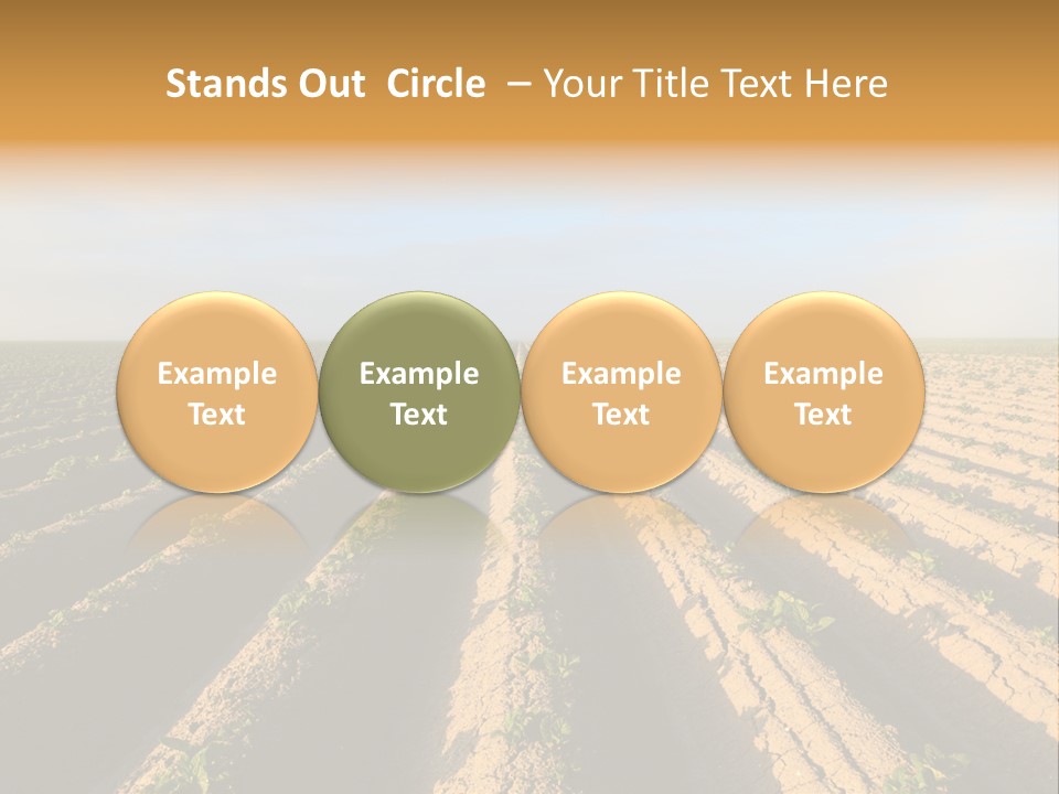 Growing Countryside Field PowerPoint Template