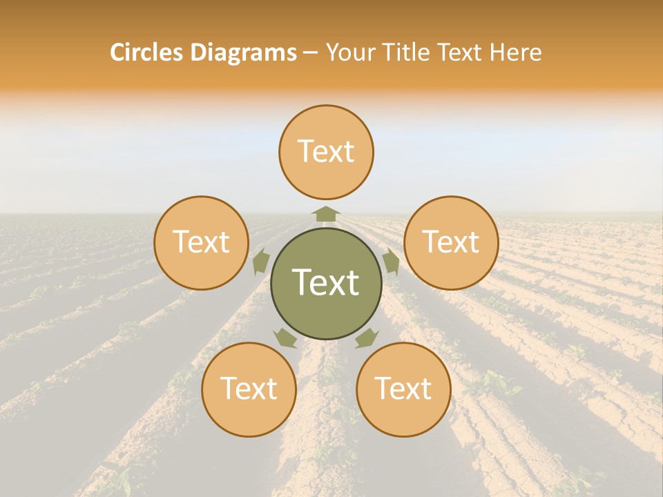 Growing Countryside Field PowerPoint Template