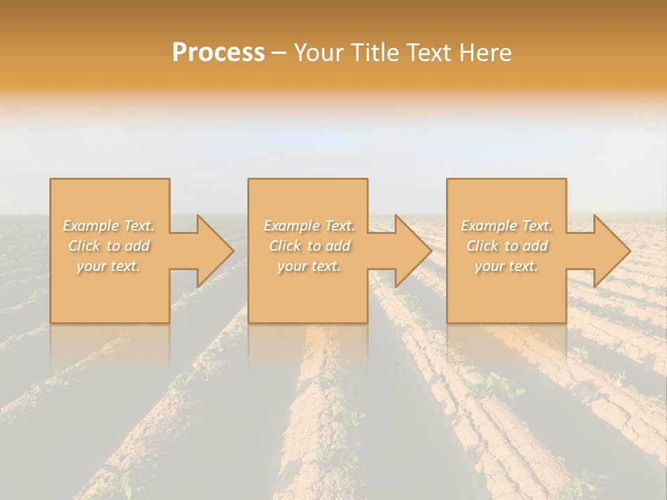Growing Countryside Field PowerPoint Template
