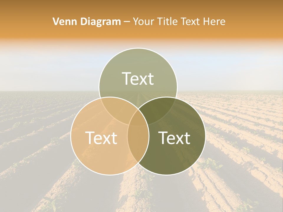 Growing Countryside Field PowerPoint Template