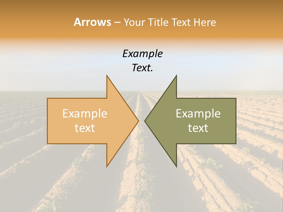 Growing Countryside Field PowerPoint Template