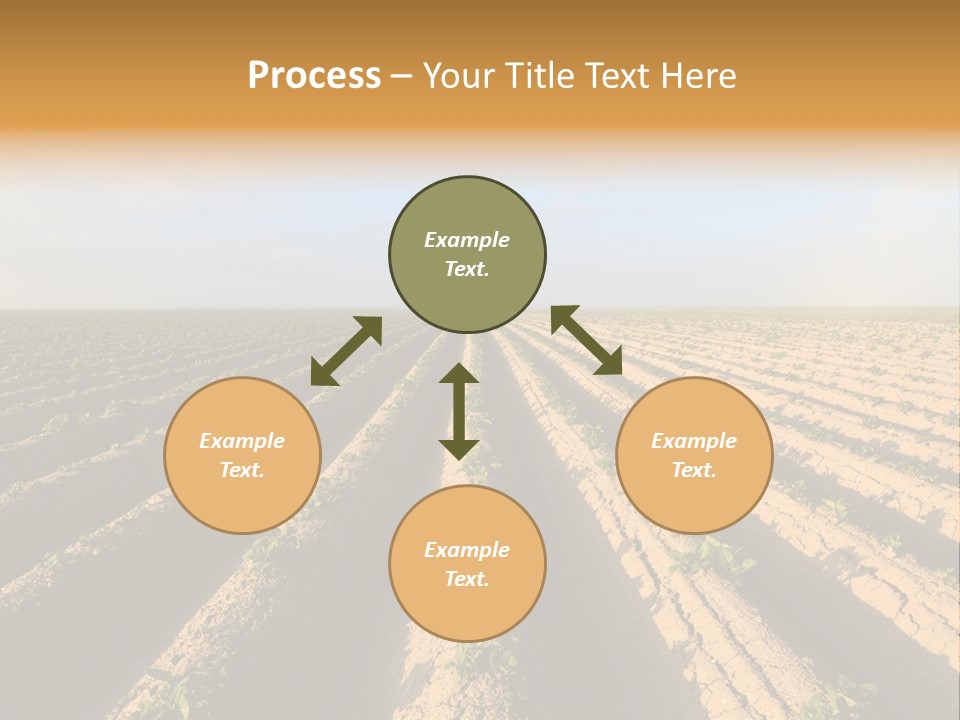 Growing Countryside Field PowerPoint Template