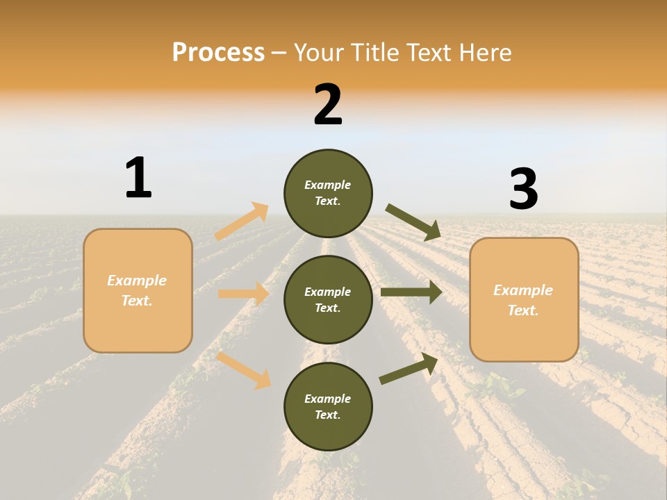 Growing Countryside Field PowerPoint Template
