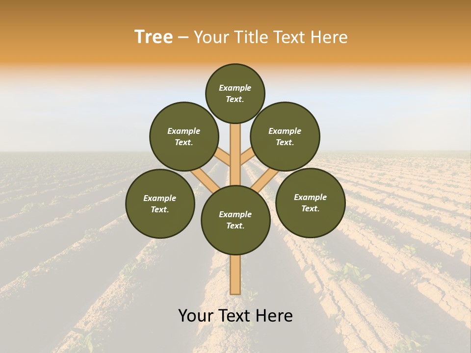 Growing Countryside Field PowerPoint Template