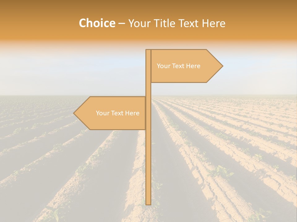 Growing Countryside Field PowerPoint Template