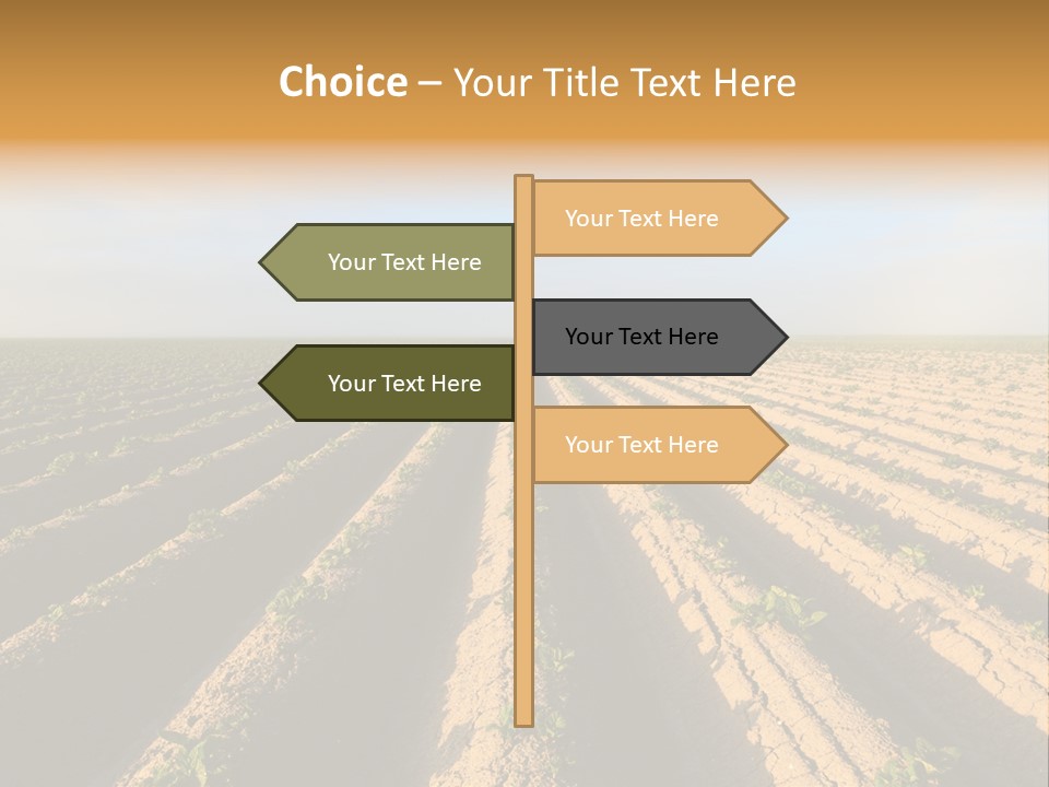 Growing Countryside Field PowerPoint Template