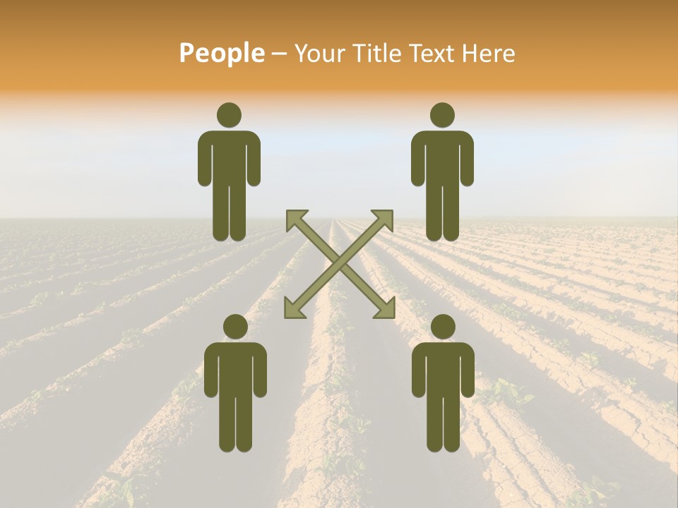 Growing Countryside Field PowerPoint Template