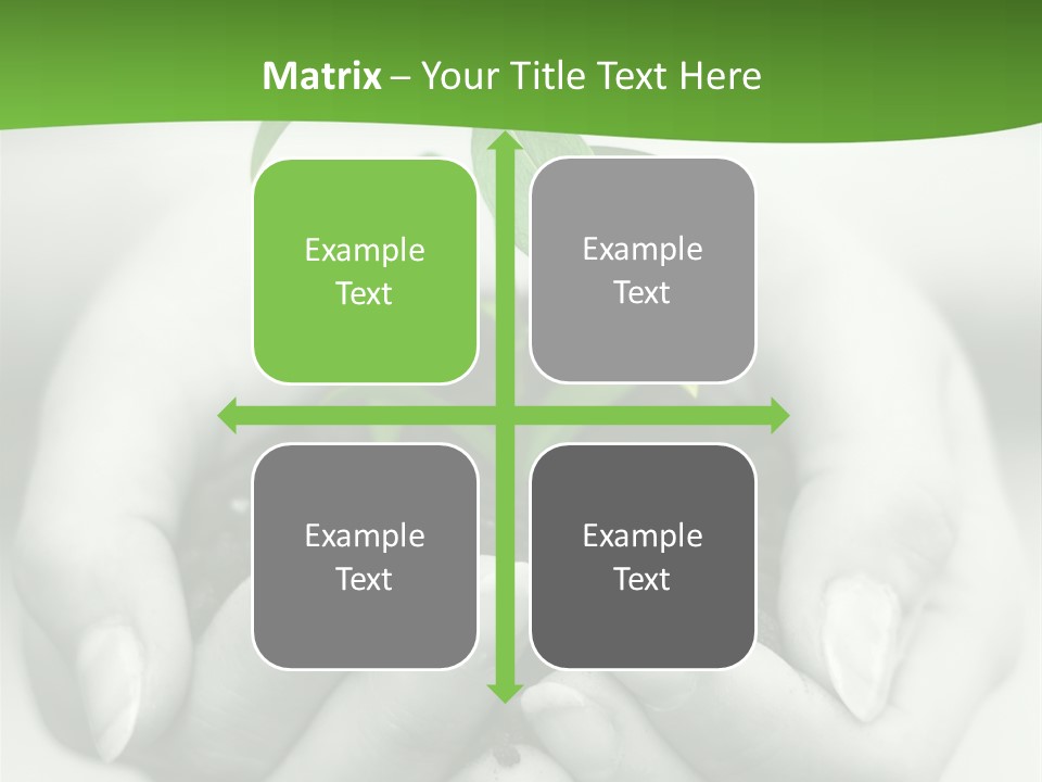 Woman Light Young PowerPoint Template