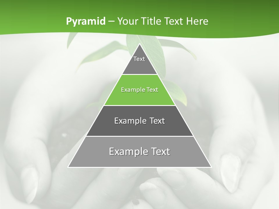 Woman Light Young PowerPoint Template