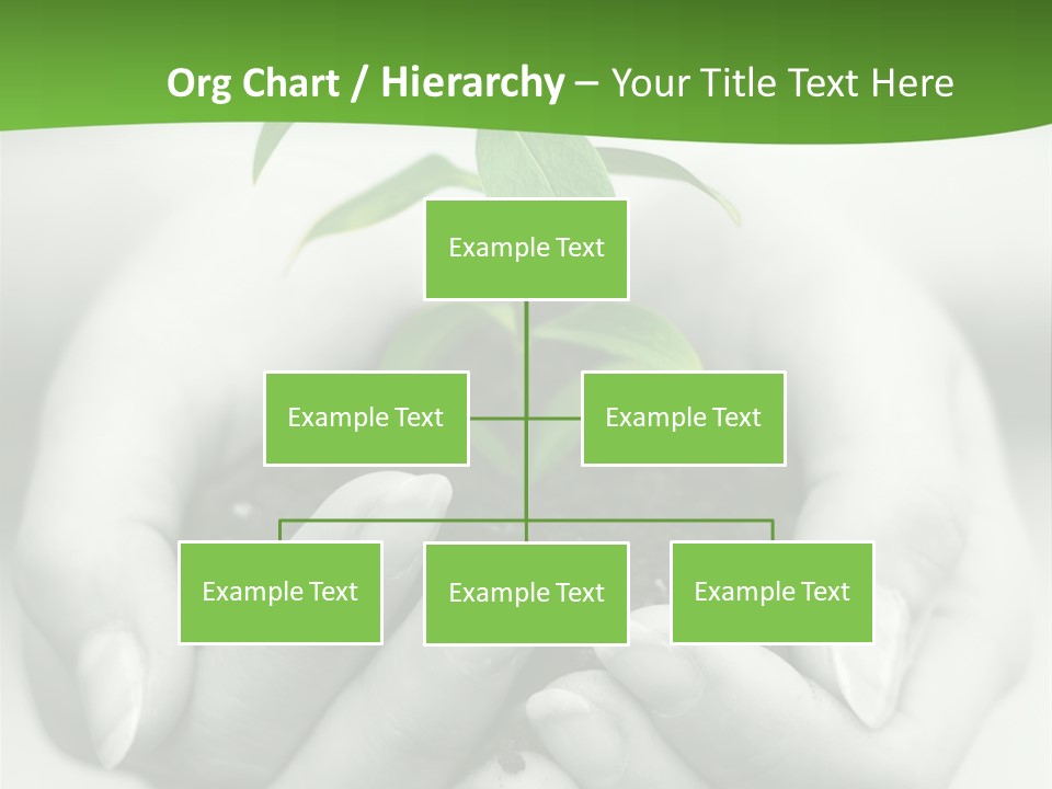 Woman Light Young PowerPoint Template