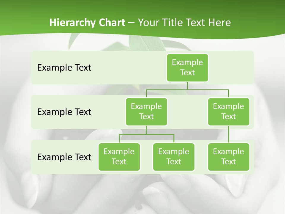 Woman Light Young PowerPoint Template