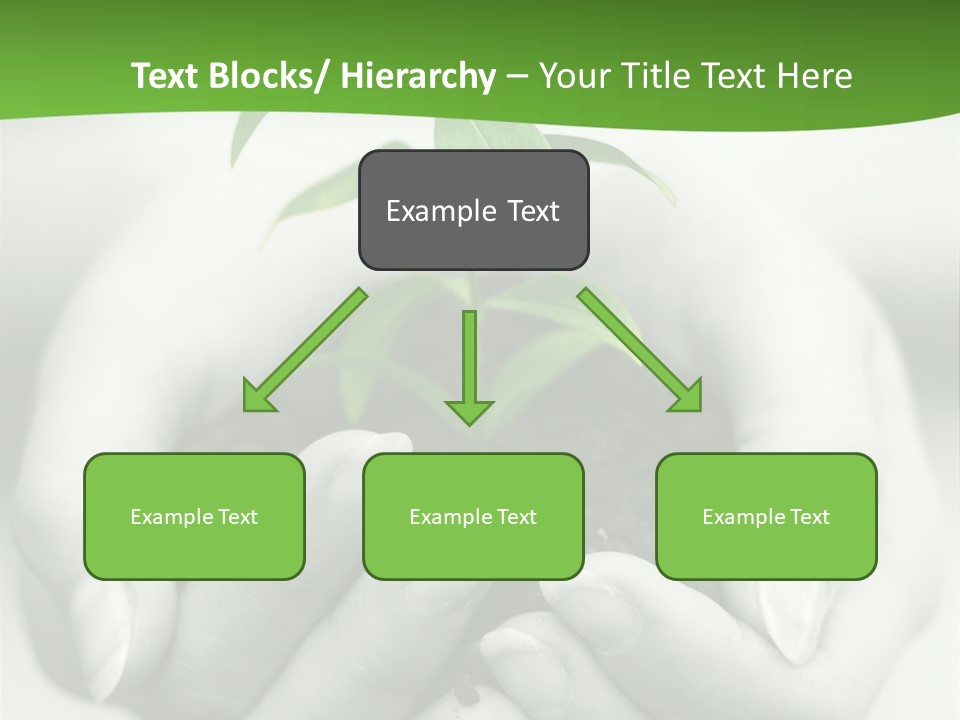 Woman Light Young PowerPoint Template