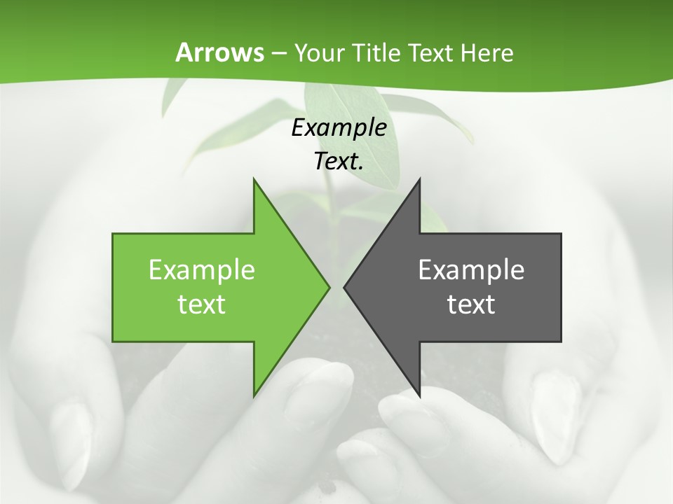 Woman Light Young PowerPoint Template