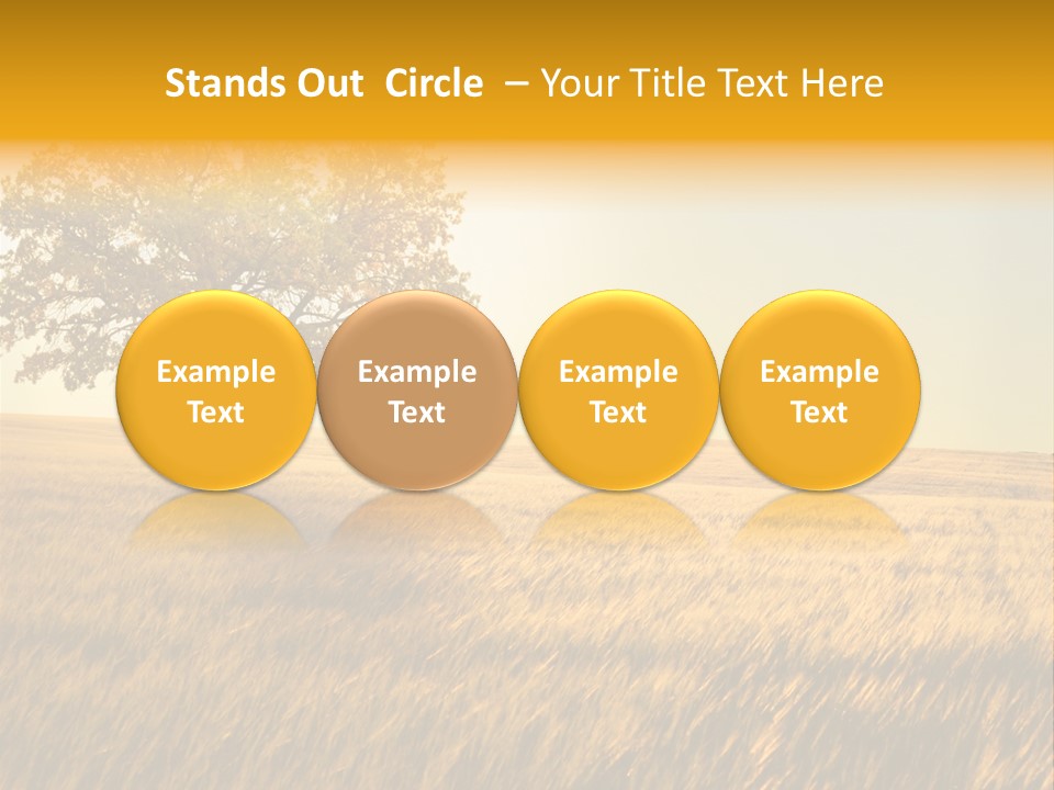 Autumn Fields PowerPoint Template