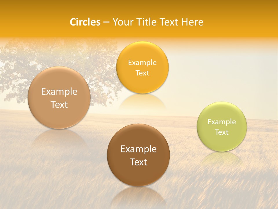 Autumn Fields PowerPoint Template