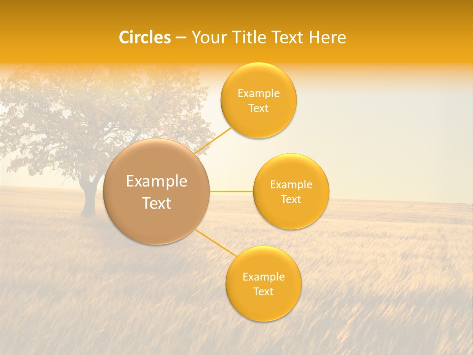 Autumn Fields PowerPoint Template