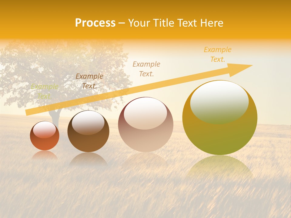 Autumn Fields PowerPoint Template