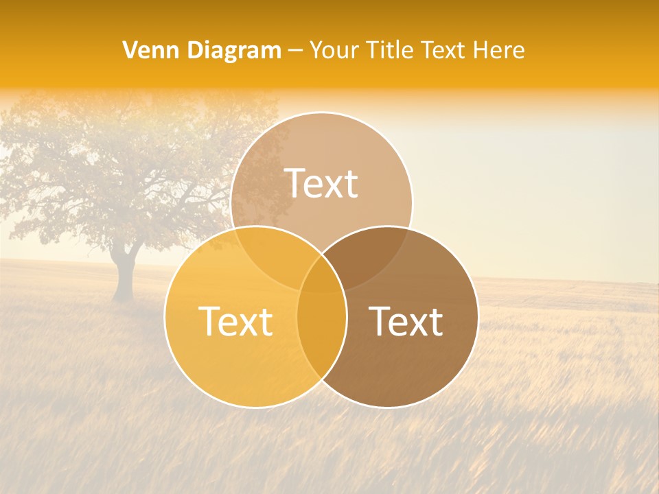 Autumn Fields PowerPoint Template