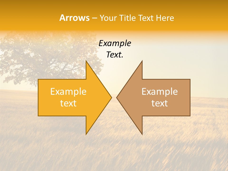 Autumn Fields PowerPoint Template
