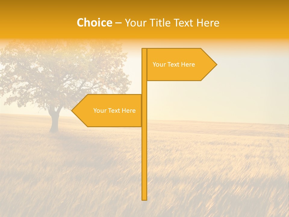 Autumn Fields PowerPoint Template