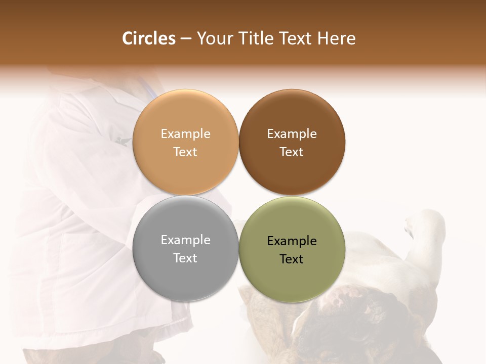 Examination Costume Jacket PowerPoint Template