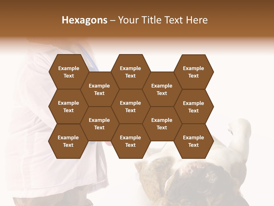 Examination Costume Jacket PowerPoint Template