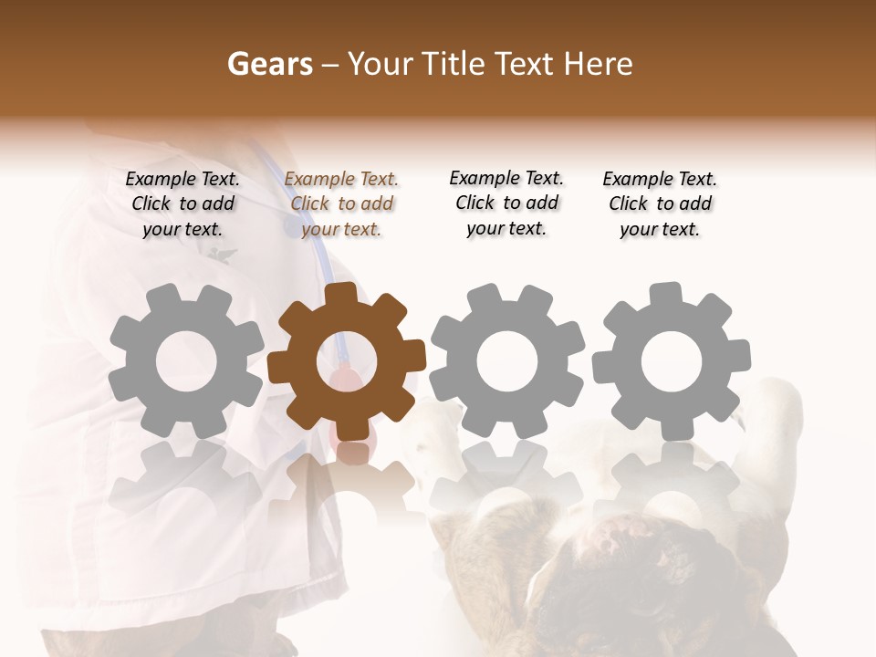 Examination Costume Jacket PowerPoint Template