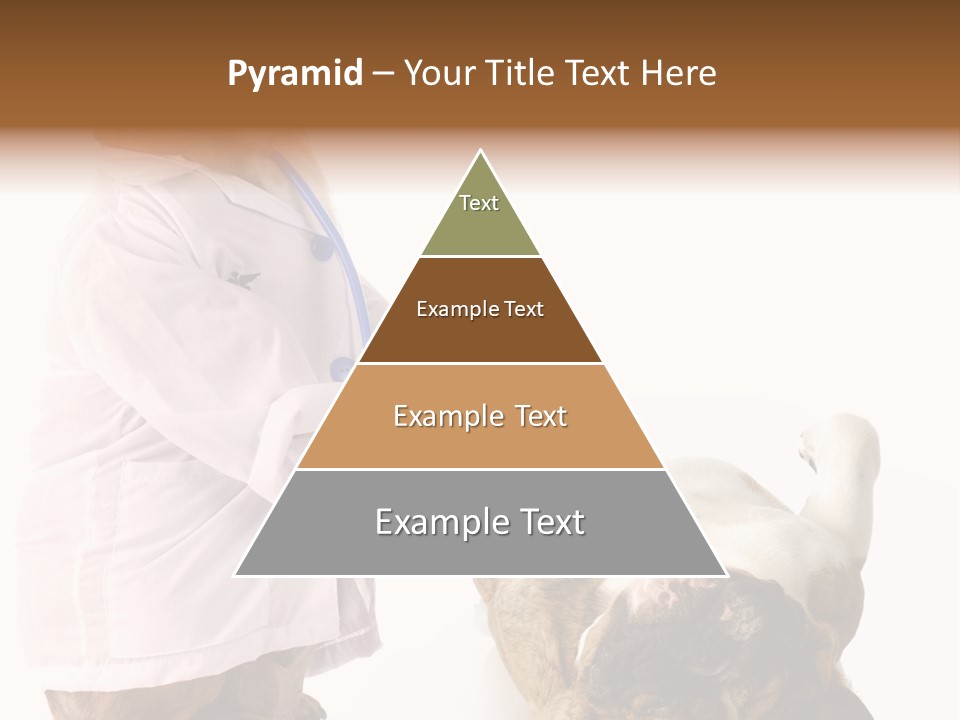 Examination Costume Jacket PowerPoint Template