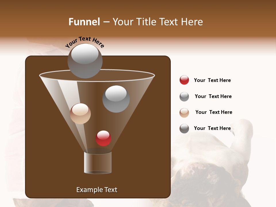 Examination Costume Jacket PowerPoint Template