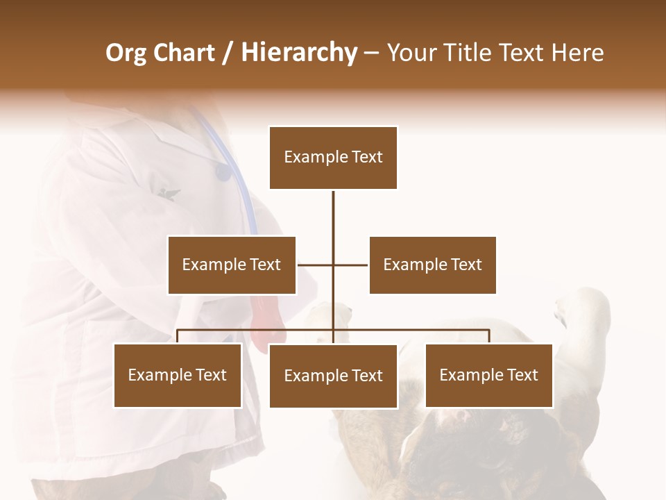 Examination Costume Jacket PowerPoint Template