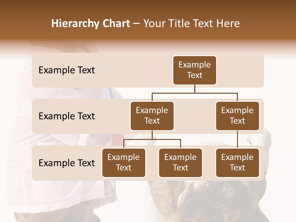 Examination Costume Jacket PowerPoint Template