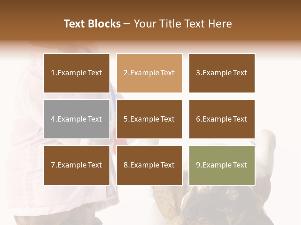 Examination Costume Jacket PowerPoint Template