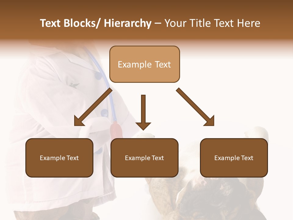Examination Costume Jacket PowerPoint Template
