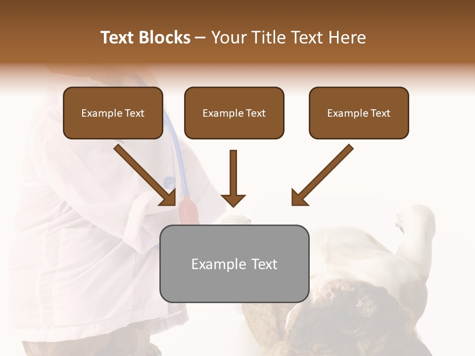 Examination Costume Jacket PowerPoint Template