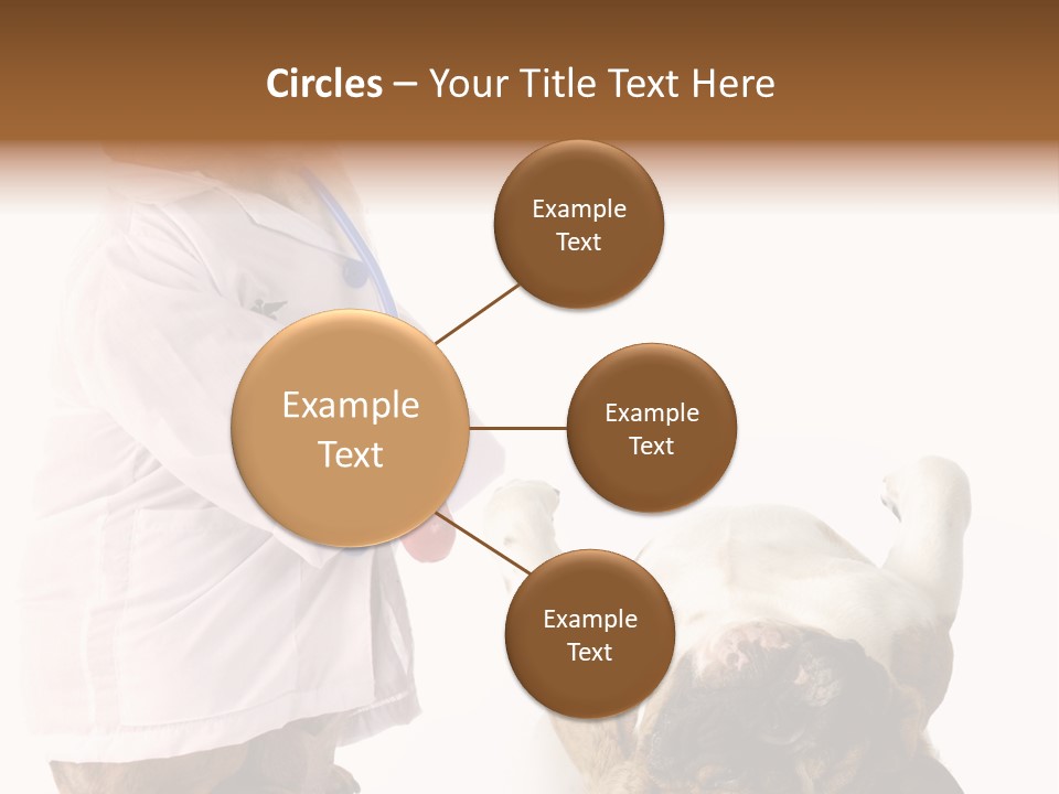 Examination Costume Jacket PowerPoint Template