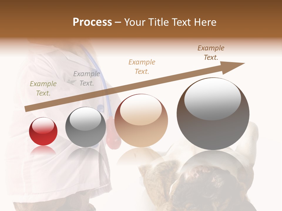 Examination Costume Jacket PowerPoint Template