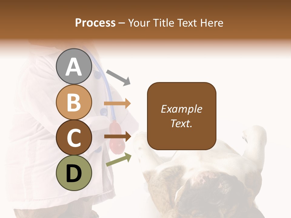 Examination Costume Jacket PowerPoint Template