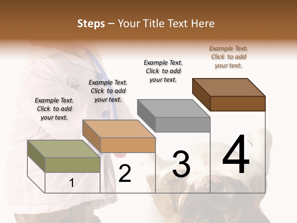 Examination Costume Jacket PowerPoint Template