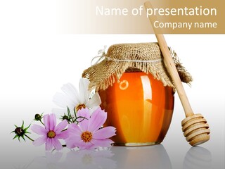 Camomile Life Plant PowerPoint Template