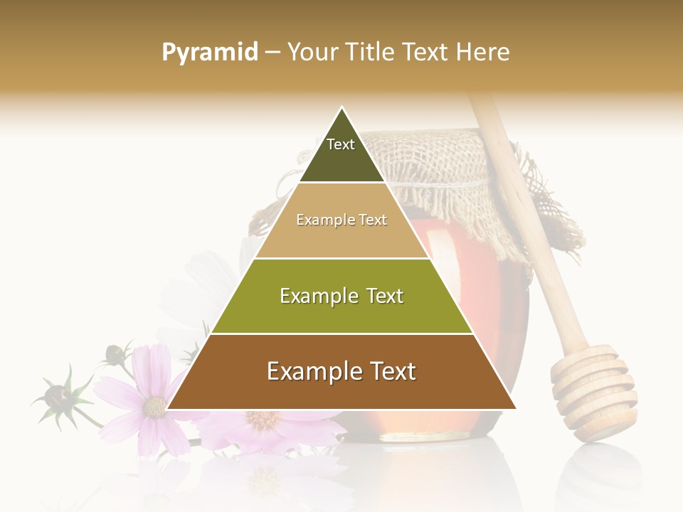 Camomile Life Plant PowerPoint Template