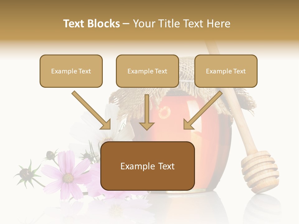 Camomile Life Plant PowerPoint Template